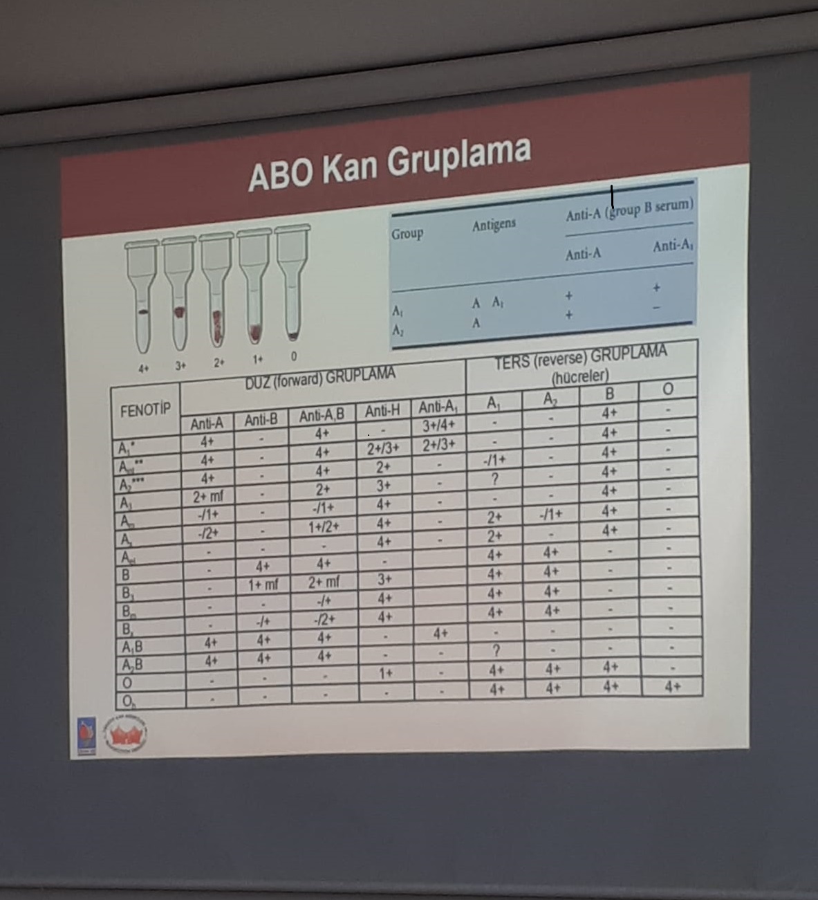 ABO Blood group system